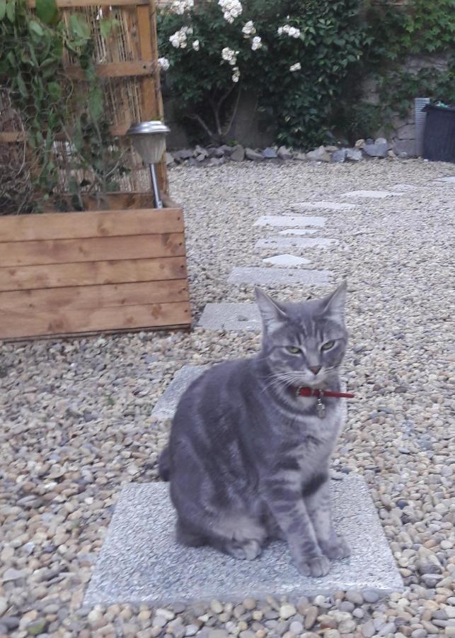 Appartamento Le Jardin De Mimi Lézignan-Corbières Esterno foto